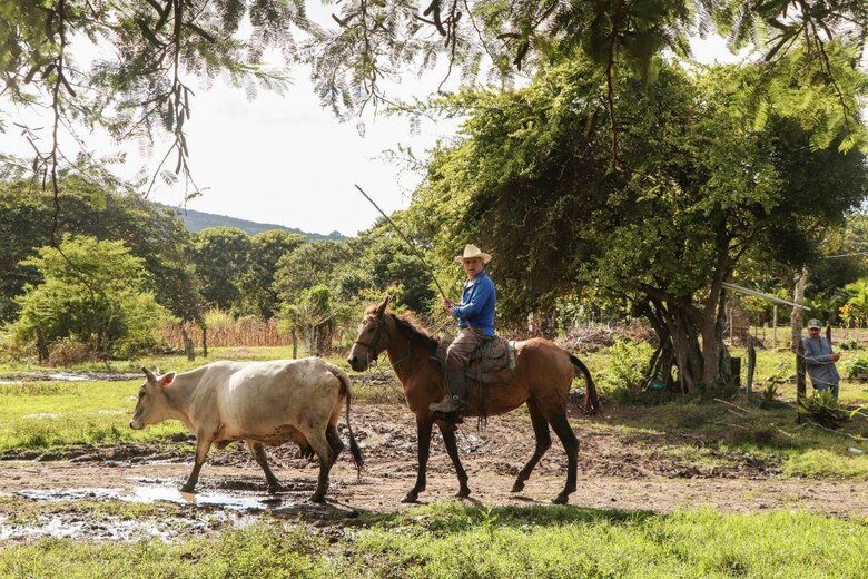 Por qué Nicaragua declaró propiedad estatal todo el territorio a menos de 15 km de sus fronteras