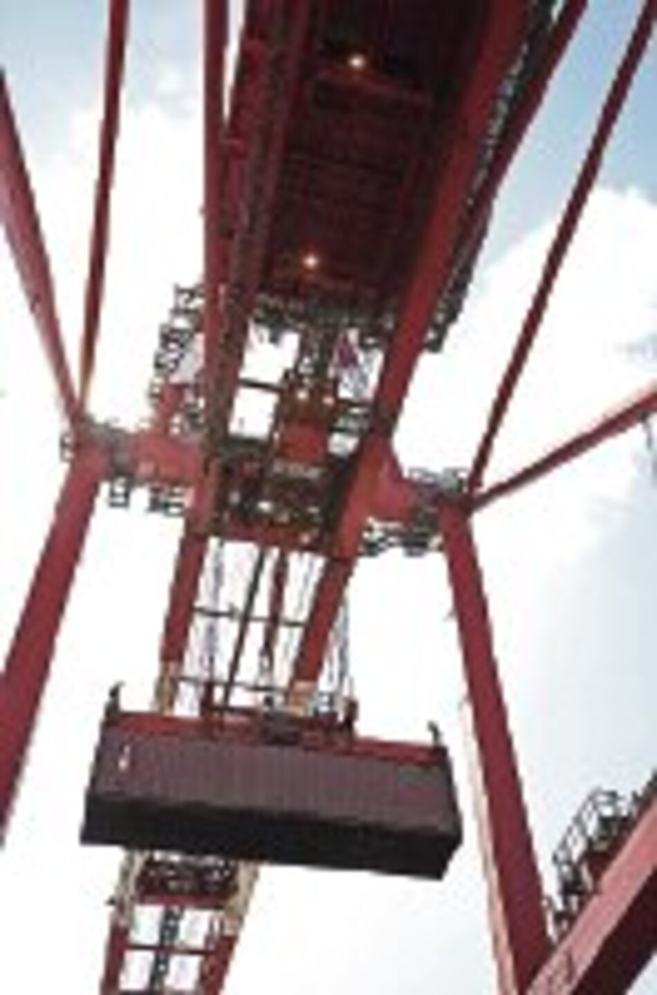 Comercio entre Argentina y Ecuador se incrementará