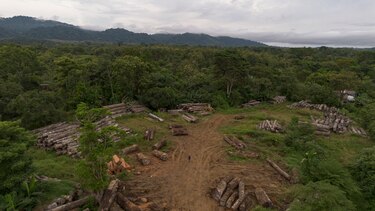 ¿Cumplen las exportaciones panameñas con la nueva normativa ambiental de la UE?