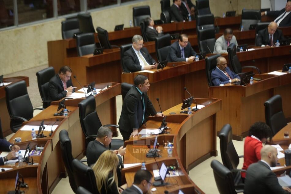 Libertad Ciudadana pide a la Asamblea eliminar el artículo que deroga la Ley 406