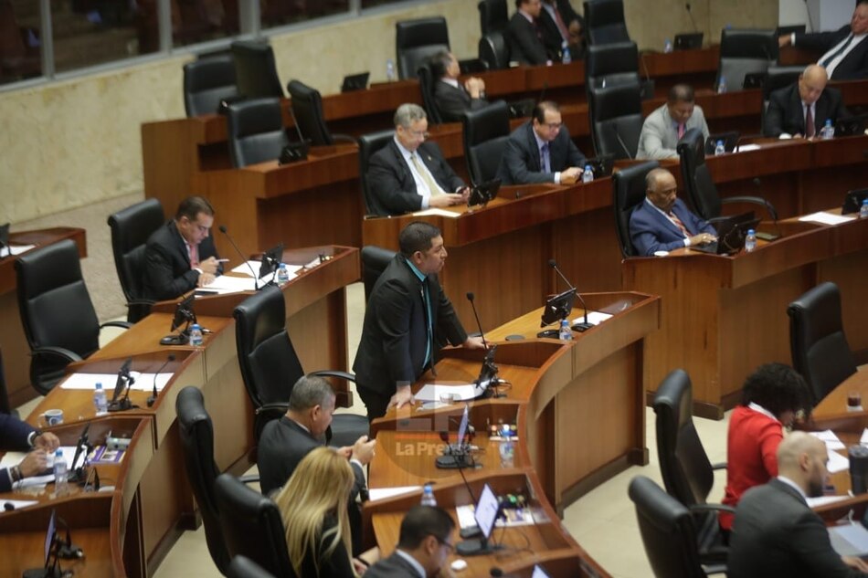 Libertad Ciudadana pide a la Asamblea eliminar el artículo que deroga la Ley 406