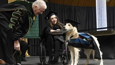 Perro de servicio recibe diploma de maestría en Nueva York