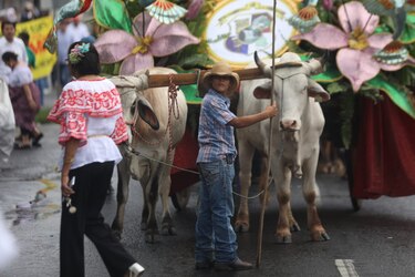 Desfiles del 10 de noviembre en Panamá: rutas, horarios y actividades patria