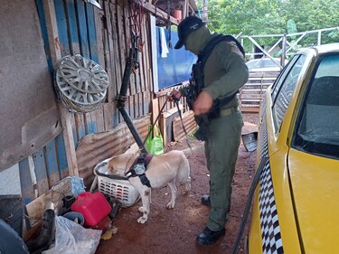 Desmantelan pandilla que se dedicaba a la extorsión en Chiriquí