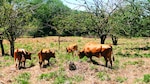 Un lugar para admirar la naturaleza