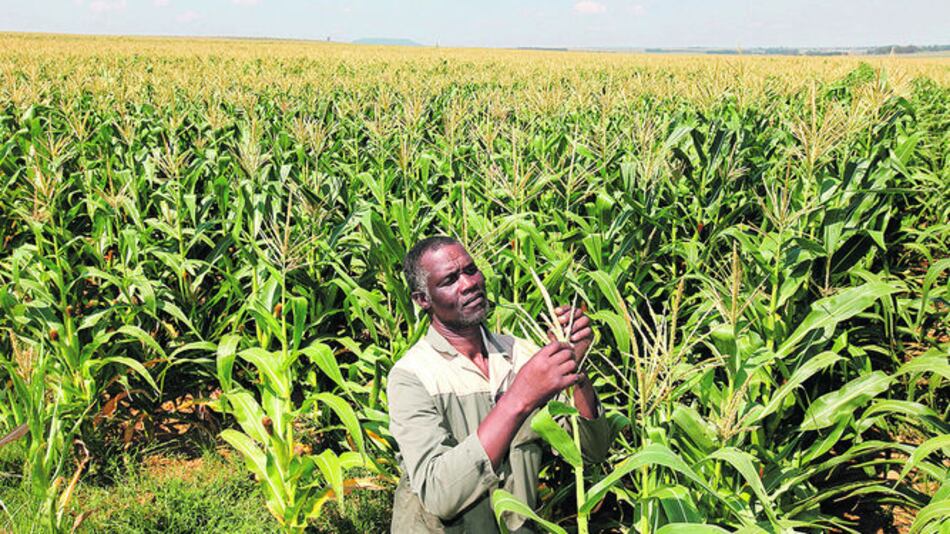 Sector agrícola liderará crecimiento