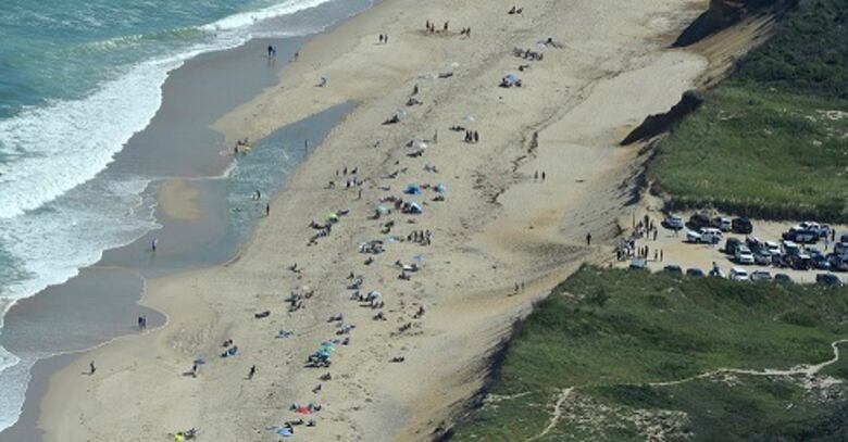 Tiburón mata a surfista frente a playa de Massachusetts