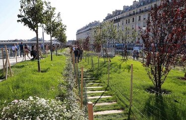 'Flores de resistencia’ en la inauguración de jardín Marielle Franco en París