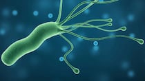 El 12% de los cánceres a nivel mundial está relacionado con infecciones