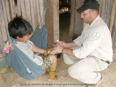 Hay 2 mil 314 casos de malaria; la mayoría está en áreas indígenas     