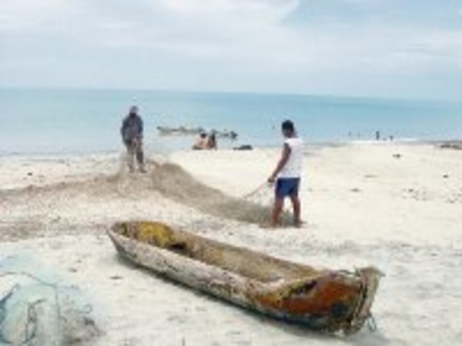 Farallón, el último refugio