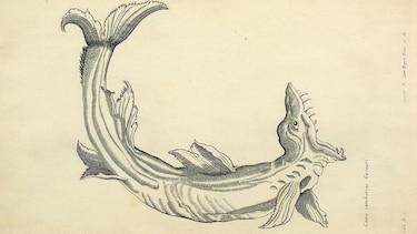 El libro que puso en riesgo la publicación de “Principia Mathematica”, la revolucionaria obra de Isaac Newton que sentó los principios de la física moderna