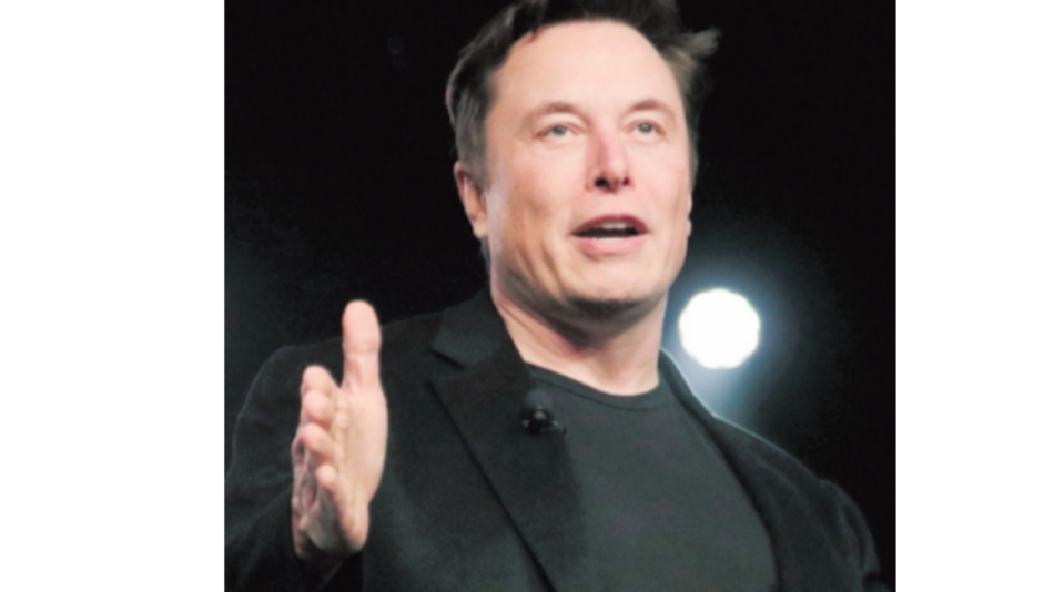 El mono con implante cerebral de Musk que juega videojuegos