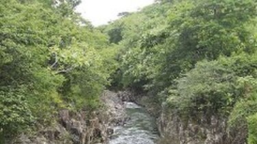Proyecto dará mil becas a coclesanos