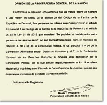 Kenia Porcell: ‘No son inconstitucionales’