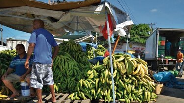 El mercado de las carretillas
