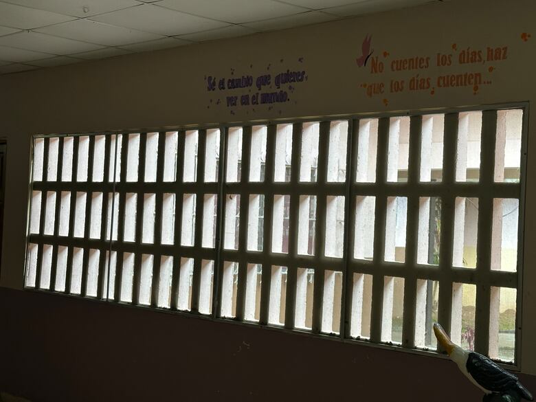 Del dolor al vuelo: la graduación de las mariposas