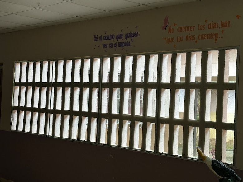 Del dolor al vuelo: la graduación de las mariposas