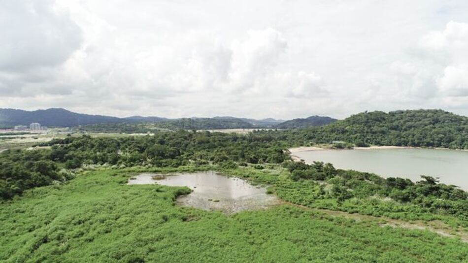 CIAM solicita a la UABR excluir bosques de subastas públicas