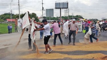 Productores y Gobierno exploran nueva entidad