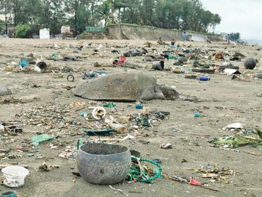 Al menos 20 tortugas mueren atrapadas por residuos plásticos