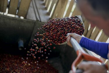 Exportaciones de Costa Rica crecen a cifra récord pese a pandemia
