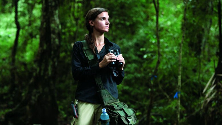 Estudian monos tití en Parque Metropolitano