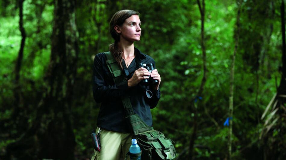 Estudian monos tití en Parque Metropolitano