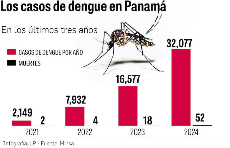Aumentan casos de dengue: más de 13 mil contagios y 22 muertes en el país