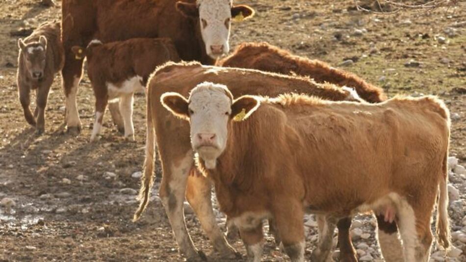 Argentina está cerca de firmar acuerdo con EU