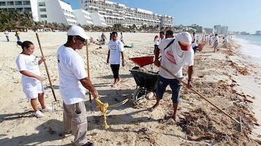 México limpiará sargazos de costas del Caribe