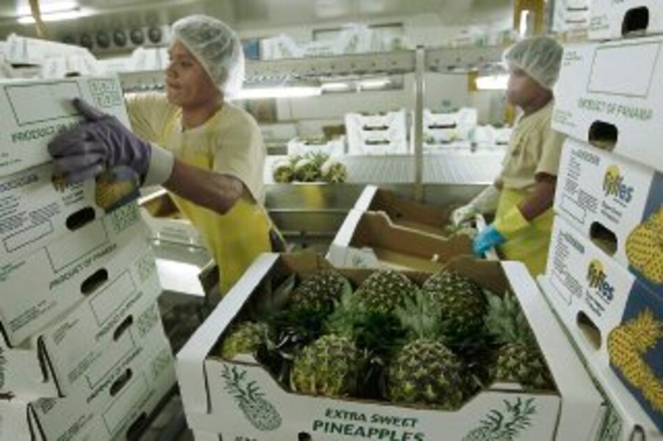 Panamá elevará exportación