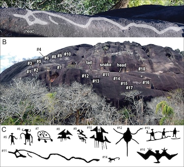 Descubren en el Orinoco grabados rupestres gigantes de hace miles de años