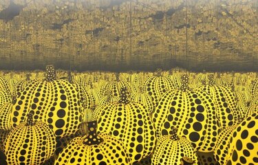 Nuevo arte para príncipe saudí: una sala llena de calabazas