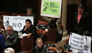 Bolivia aprueba ley para construir polémica carretera en reserva ecológica