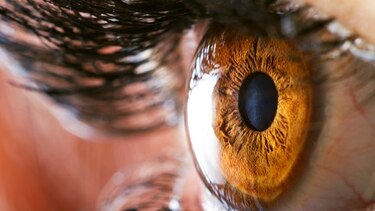 Un mal oculto en los ojos