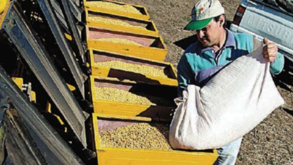 China recurre a soja producida en Brasil