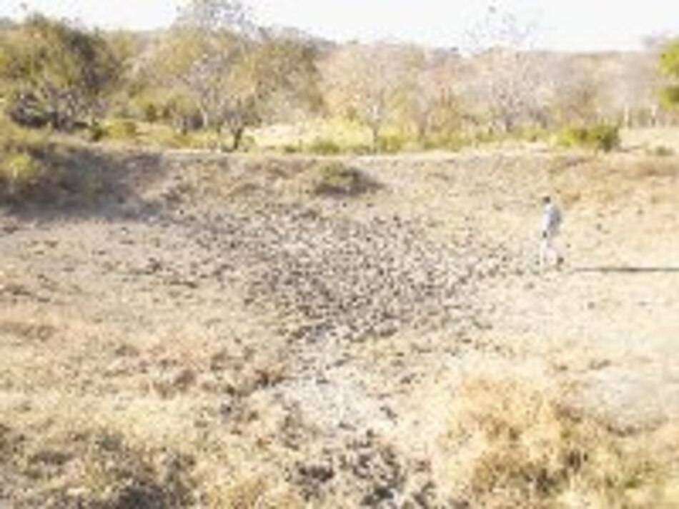 Implementan contingentes por sequía provocada por ‘El Niño’