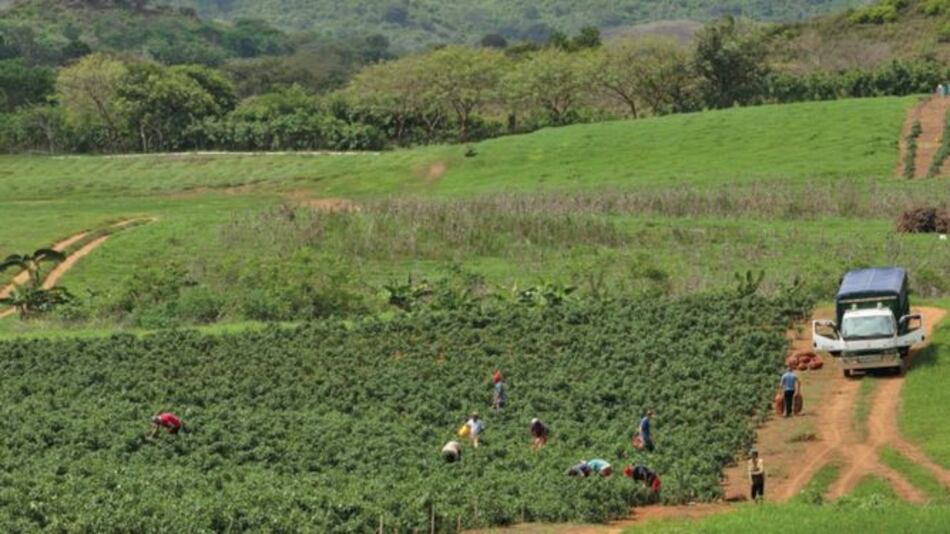 Requieren $1,200 millones para plan maestro del agro