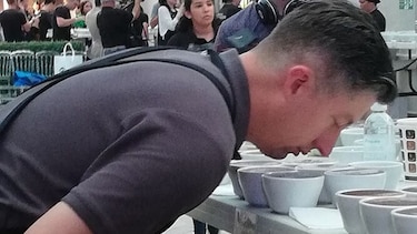 Comprador japonés paga $1,029 por libra de café de Boquete