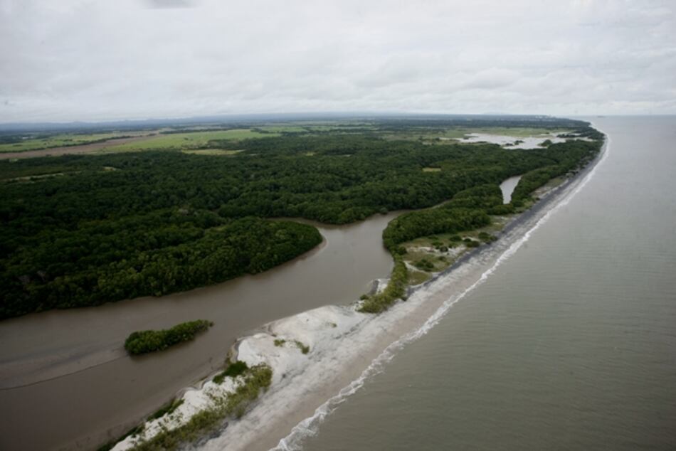 Familia Papadimitriu dice que no participará en licitación de Juan Hombrón