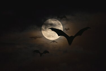 ‘La Marca del Vampiro’