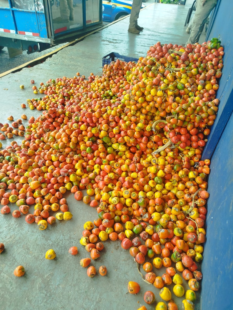 Retienen productos agrícolas por presunto contrabando en Panamá