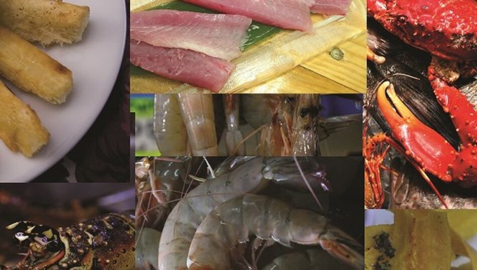 Gastronomía en las costas panameñas