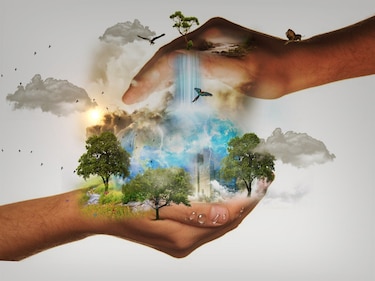 Las multinacionales comprometidas con un futuro verde
