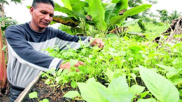 Platos a beneficio del patronato