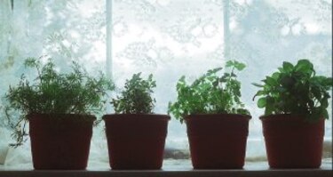 Agricultura sostenible en patios, terrazas y balcones