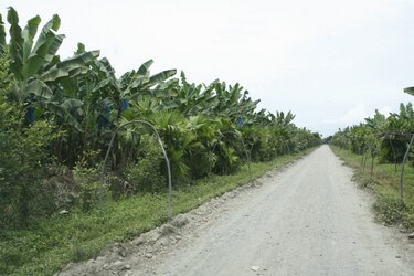 Investigan homicidio en Changuinola, Bocas del Toro
