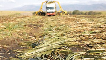 Crisis de oferta de azúcar en EU podría recaer en junio