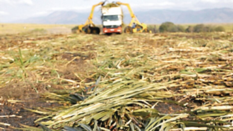 Crisis de oferta de azúcar en EU podría recaer en junio